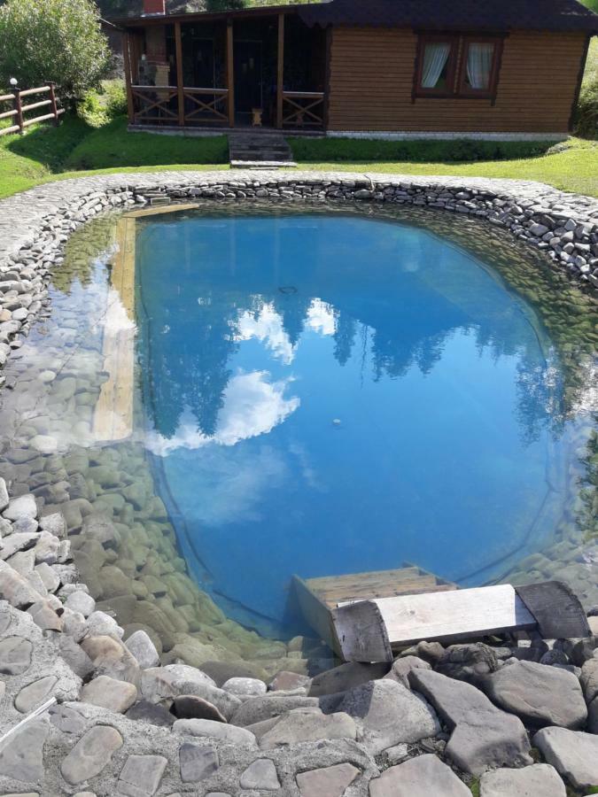 Lisoviy Zatyshok, Z Vidkrutum Litnim Baseynom Otel Slavske Dış mekan fotoğraf
